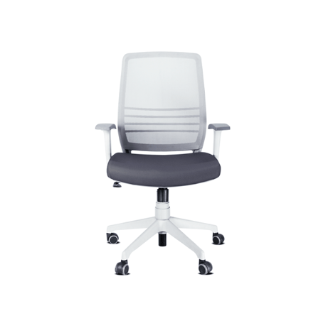 11-Canvas_Ejecutiva_Gray_01