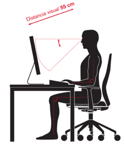 Sillasergopostura