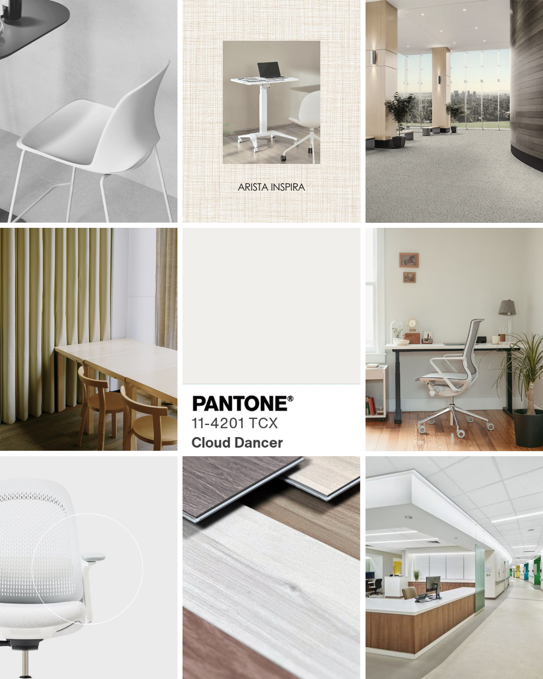 PANTONE 2026 EN ARISTA