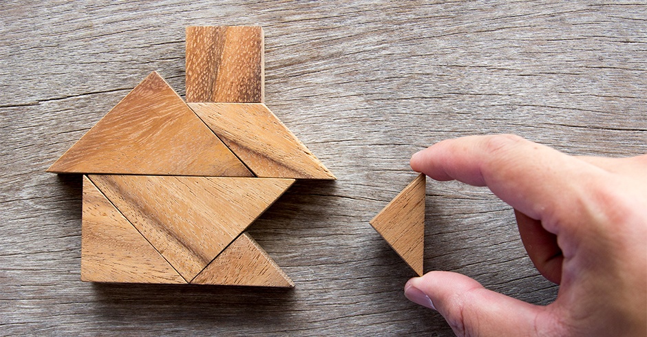 The project triangle and its importance in integral solutions