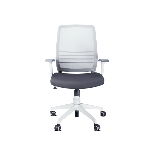 Executive Chairs Canvas Executive Arista