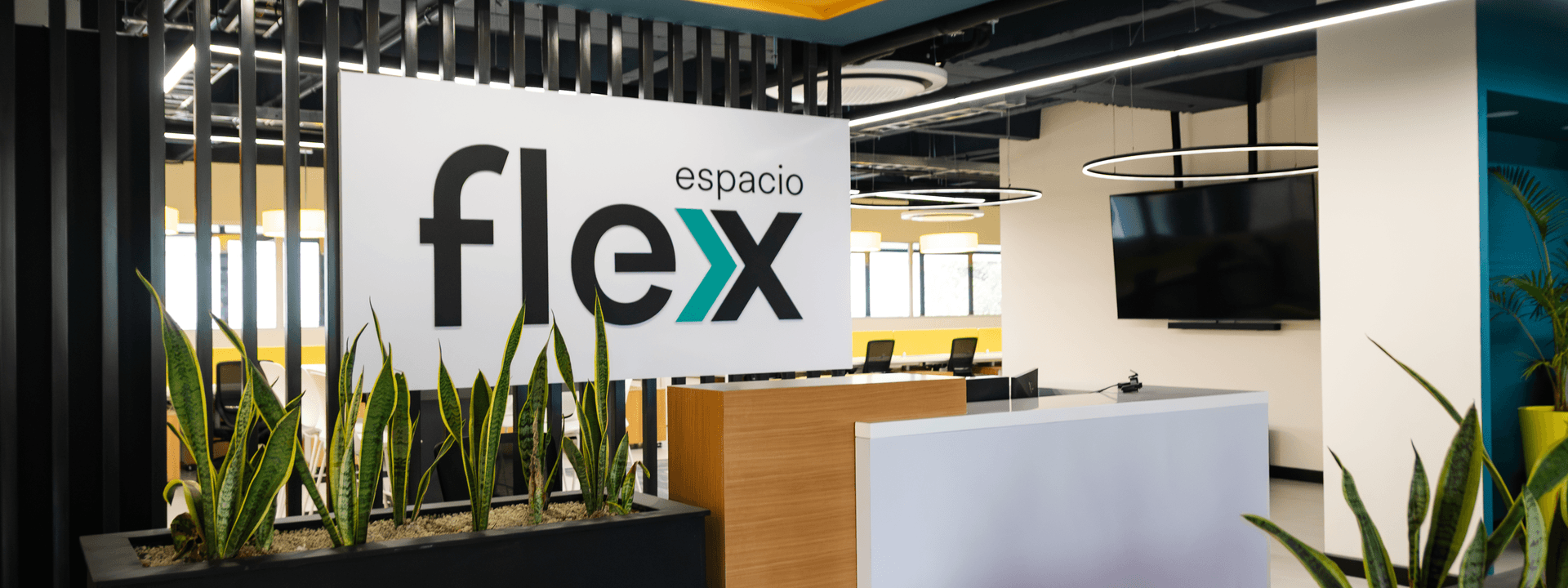 40 Proyectos que nos definen: #03 — Grupo Apolo Flex Place, trabajo más cerca de las personas